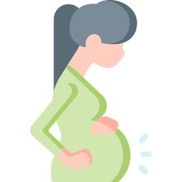 Pregnancy Care